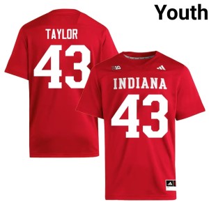 #43 The Hoosier State University College Football Bryce Taylor Youth Crimson Jerseys 276695-654
