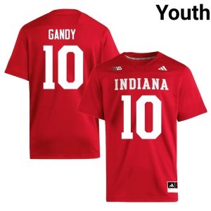#10 University of Indiana Ryland Gandy College Football Youth High School Crimson Jersey 382143-246
