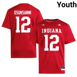 #12 IU Hoosiers Embroidery College Football Tobi Osunsanmi Youth Crimson Jersey 725546-965