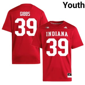 #39 Hoosiers College Football Replica Trevor Gibbs Crimson Youth Jersey 918768-380